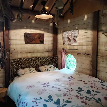 Jardin Reveur La La Tete Dans Les Etoiles 3* Gesves