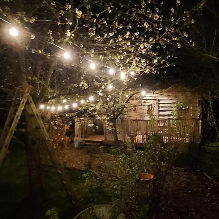 Jardin Rêveur La La Tête Dans Les étoiles