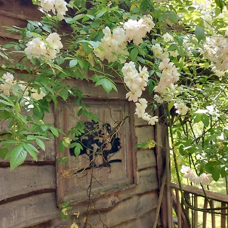 B&B Jardin Reveur La La Tete Dans Les Etoiles Gesves