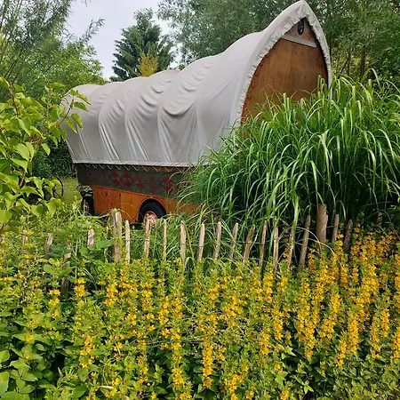 Jardin Rêveur La La Tête Dans Les étoiles