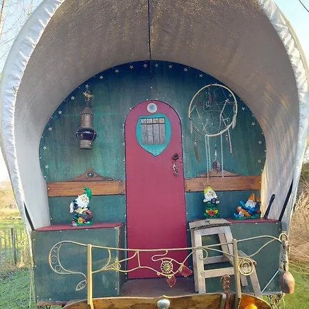 Jardin Reveur La La Tete Dans Les Etoiles 3*