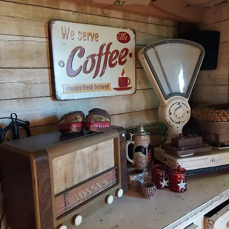 Jardin Reveur La La Tete Dans Les Etoiles