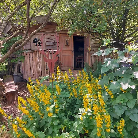 Jardin Reveur La La Tete Dans Les Etoiles 3*