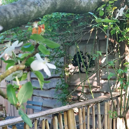 Jardin Rêveur La La Tête Dans Les étoiles Gesves