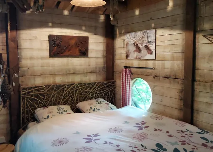 Jardin Reveur La La Tete Dans Les Etoiles 3* Gesves