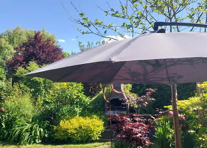 Jardin Reveur La La Tete Dans Les Etoiles 3*