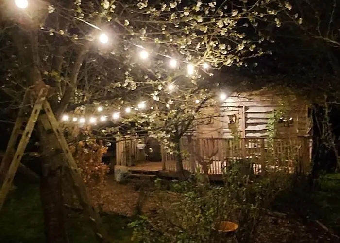 Jardin Reveur La La Tete Dans Les Etoiles