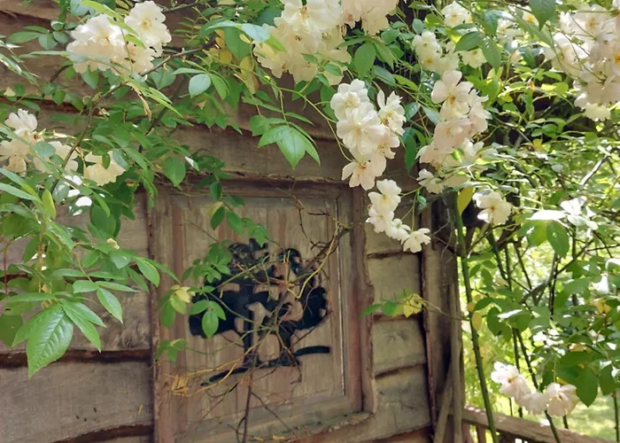 לינה וארוחת בוקר Jardin Reveur La La Tete Dans Les Etoiles Gesves