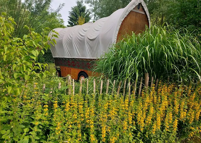 Jardin Reveur La La Tete Dans Les Etoiles