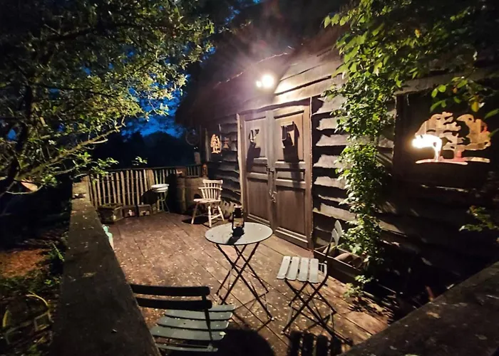 Jardin Reveur La La Tete Dans Les Etoiles 3*