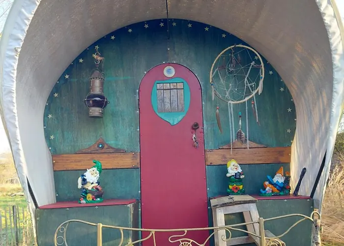 Jardin Reveur La La Tete Dans Les Etoiles 3*