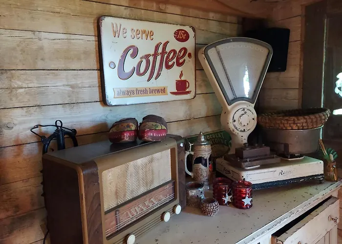 Jardin Reveur La La Tete Dans Les Etoiles