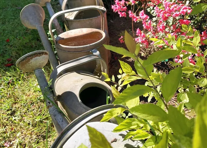 Jardin Reveur La La Tete Dans Les Etoiles Gesves