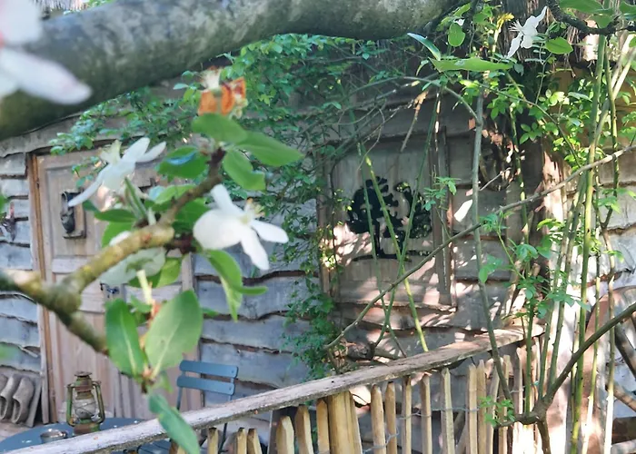 Jardin Reveur La La Tete Dans Les Etoiles Gesves