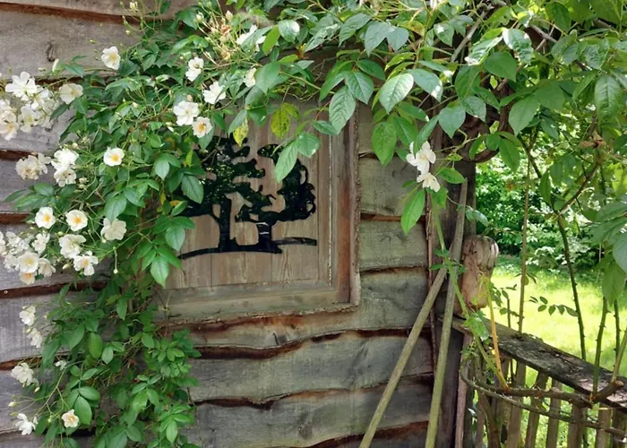 לינה וארוחת בוקר Jardin Reveur La La Tete Dans Les Etoiles